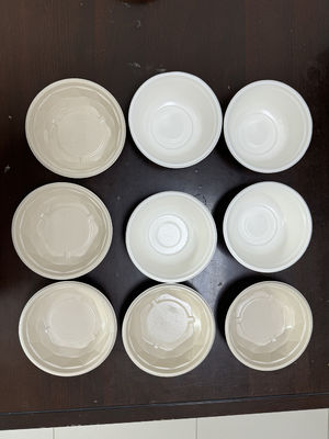 24-Station Rotary Coating Line for Internal Coating of Pulp Molding | High-Volume Automated Production System