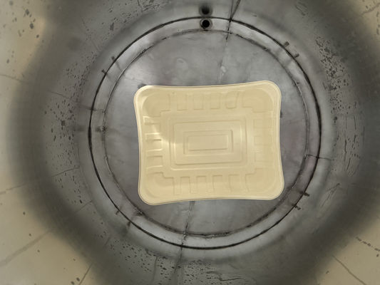 Advanced Sugarcane Bagasse Pulp Coating Production Line for Eco-Friendly Molding Solutions