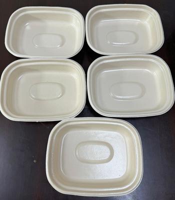 Углеродно-нейтральный прототипатор для спин-покрытия с двумя станциями для растительной посуды - Углеродно-нейтральное решение для тарелок, мисок и мясных лотков