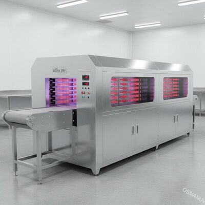 Тоннель инфракрасн машины ультрафиолетовых лучей ультракрасный более сухой для больницы/еды