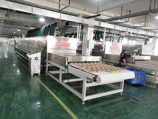 High Capacity 14-Stage Microwave Drying Machine for Pulp and Herb Processing