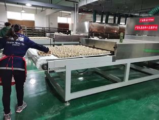 Промышленный микроволновой сушильщик фруктов и сушильщик трав. Высокая эффективность и сохранение качества.