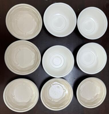 Spin Coating Line for Eco-Friendly Tableware | Precision Internal Coating Solution