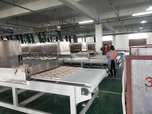 High Capacity Drying Solution Customizable Microwave Vacuum Dryer